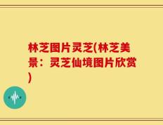 林芝图片灵芝(林芝美景：灵芝仙境图片欣赏)