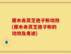 原木赤灵芝孢子粉功效(原木赤灵芝孢子粉的功效及用途)