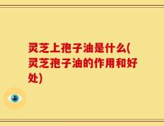 灵芝上孢子油是什么(灵芝孢子油的作用和好处)