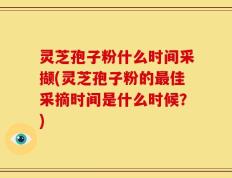 灵芝孢子粉什么时间采撷(灵芝孢子粉的最佳采摘时间是什么时候？)