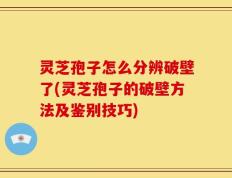 灵芝孢子怎么分辨破壁了(灵芝孢子的破壁方法及鉴别技巧)