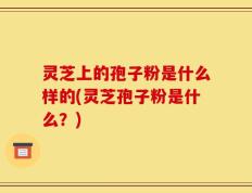 灵芝上的孢子粉是什么样的(灵芝孢子粉是什么？)