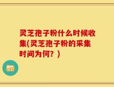 灵芝孢子粉什么时候收集(灵芝孢子粉的采集时间为何？)