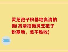 灵芝孢子粉基地高清拍摄(高清拍摄灵芝孢子粉基地，美不胜收)