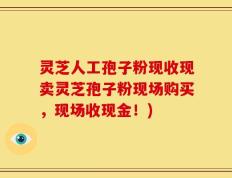灵芝人工孢子粉现收现卖灵芝孢子粉现场购买，现场收现金！)