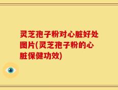 灵芝孢子粉对心脏好处图片(灵芝孢子粉的心脏保健功效)