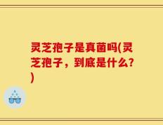 灵芝孢子是真菌吗(灵芝孢子，到底是什么？)