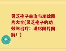 灵芝孢子主治与功效图片大全(灵芝孢子的功效与治疗：详尽图片图解！)