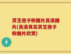 灵芝孢子粉图片高清图片(高清真实灵芝孢子粉图片欣赏)