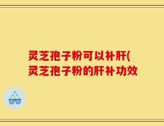 灵芝孢子粉可以补肝(灵芝孢子粉的肝补功效