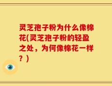灵芝孢子粉为什么像棉花(灵芝孢子粉的轻盈之处，为何像棉花一样？)