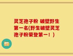 灵芝孢子粉 破壁野生第一名(野生破壁灵芝孢子粉荣登第一！)