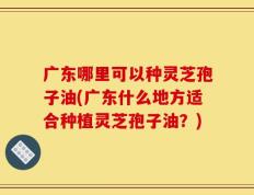 广东哪里可以种灵芝孢子油(广东什么地方适合种植灵芝孢子油？)