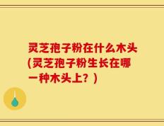 灵芝孢子粉在什么木头(灵芝孢子粉生长在哪一种木头上？)