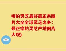 哪的灵芝最好最正宗图片大全全球灵芝之乡：最正宗的灵芝产地图片大观)