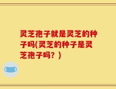 灵芝孢子就是灵芝的种子吗(灵芝的种子是灵芝孢子吗？)