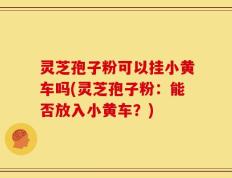 灵芝孢子粉可以挂小黄车吗(灵芝孢子粉：能否放入小黄车？)