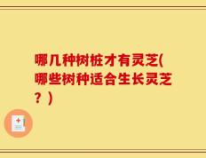 哪几种树桩才有灵芝(哪些树种适合生长灵芝？)