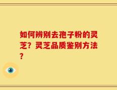 如何辨别去孢子粉的灵芝？灵芝品质鉴别方法？