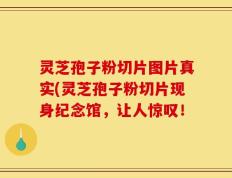 灵芝孢子粉切片图片真实(灵芝孢子粉切片现身纪念馆，让人惊叹！
