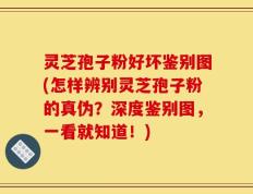 灵芝孢子粉好坏鉴别图(怎样辨别灵芝孢子粉的真伪？深度鉴别图，一看就知道！)