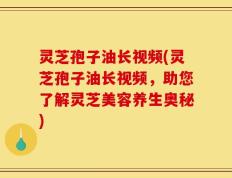灵芝孢子油长视频(灵芝孢子油长视频，助您了解灵芝美容养生奥秘)