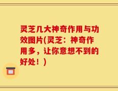 灵芝几大神奇作用与功效图片(灵芝：神奇作用多，让你意想不到的好处！)
