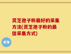 灵芝孢子粉最好的采集方法(灵芝孢子粉的最佳采集方式)