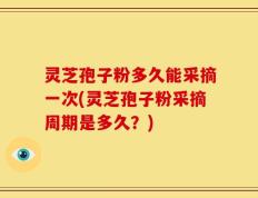 灵芝孢子粉多久能采摘一次(灵芝孢子粉采摘周期是多久？)