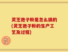 灵芝孢子粉是怎么搞的(灵芝孢子粉的生产工艺及过程)