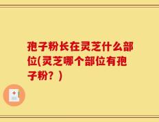 孢子粉长在灵芝什么部位(灵芝哪个部位有孢子粉？)