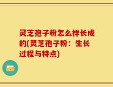 灵芝孢子粉怎么样长成的(灵芝孢子粉：生长过程与特点)