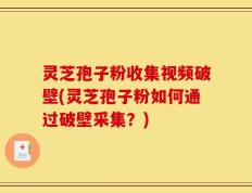 灵芝孢子粉收集视频破壁(灵芝孢子粉如何通过破壁采集？)