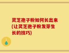 灵芝孢子粉如何长出来(让灵芝孢子粉发芽生长的技巧)