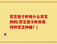 灵芝孢子粉用什么灵芝种的(灵芝孢子粉采用何种灵芝种植？)