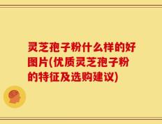 灵芝孢子粉什么样的好图片(优质灵芝孢子粉的特征及选购建议)