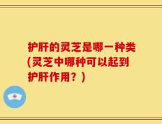 护肝的灵芝是哪一种类(灵芝中哪种可以起到护肝作用？)