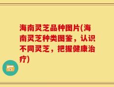 海南灵芝品种图片(海南灵芝种类图鉴，认识不同灵芝，把握健康治疗)