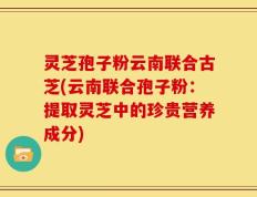灵芝孢子粉云南联合古芝(云南联合孢子粉：提取灵芝中的珍贵营养成分)