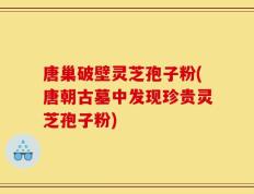唐巢破壁灵芝孢子粉(唐朝古墓中发现珍贵灵芝孢子粉)