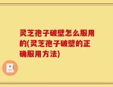 灵芝孢子破壁怎么服用的(灵芝孢子破壁的正确服用方法)