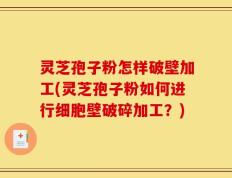 灵芝孢子粉怎样破壁加工(灵芝孢子粉如何进行细胞壁破碎加工？)