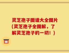 灵芝孢子图谱大全图片(灵芝孢子全图解，了解灵芝孢子的一切！)