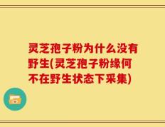 灵芝孢子粉为什么没有野生(灵芝孢子粉缘何不在野生状态下采集)
