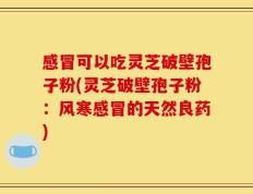 感冒可以吃灵芝破壁孢子粉(灵芝破壁孢子粉：风寒感冒的天然良药)
