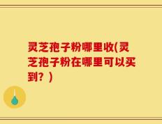 灵芝孢子粉哪里收(灵芝孢子粉在哪里可以买到？)