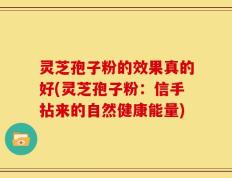 灵芝孢子粉的效果真的好(灵芝孢子粉：信手拈来的自然健康能量)