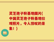 灵芝孢子粉基地图片(中国灵芝孢子粉基地壮观照片，令人惊叹的景象！)