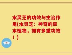 水灵芝的功效与主治作用(水灵芝：神奇的草本植物，拥有多重功效！)