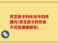 灵芝孢子的吃法与功效图片(灵芝孢子的饮食方式及健康益处)